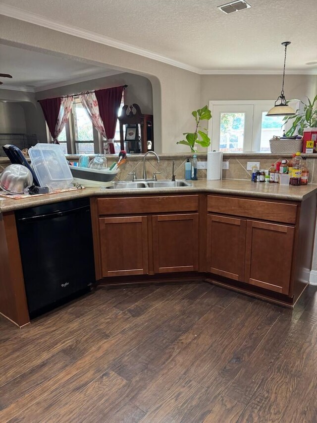 kitchen featuring a sink, dishwasher, dark wood-style floors, and a healthy amount of sunlight