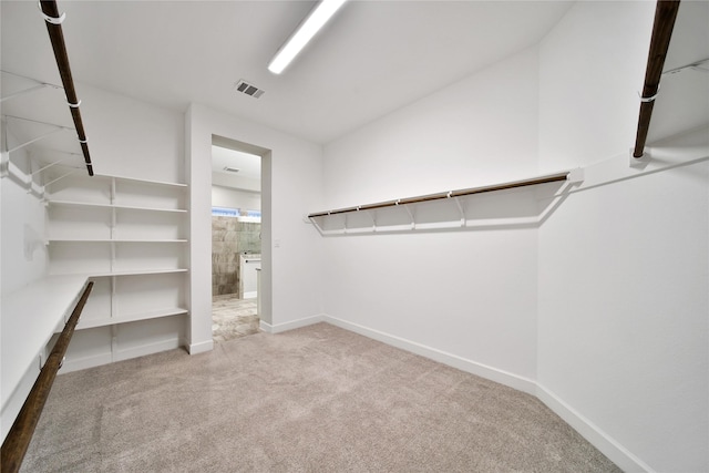 32193 Park Plains Dr, Conroe, TX 77385 - spacious closet with carpet