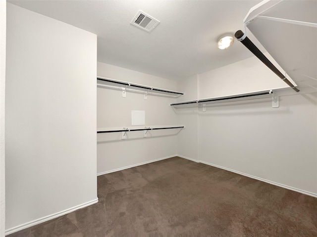 walk in closet with visible vents and carpet