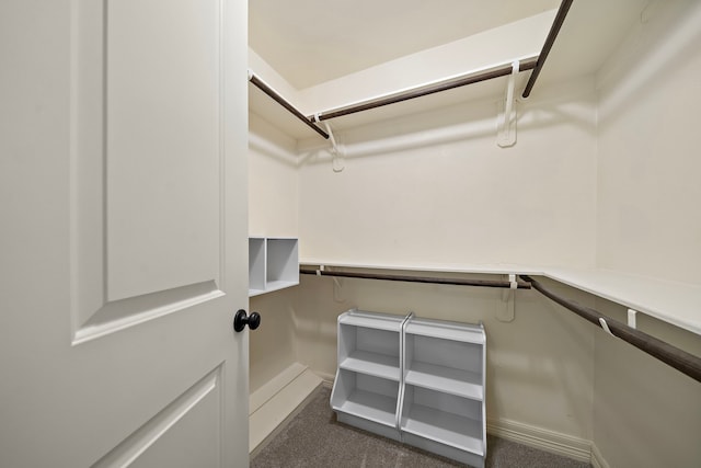 walk in closet with dark colored carpet