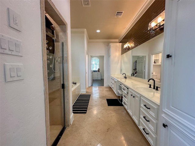 bathroom with visible vents, a shower stall, double vanity, ornamental molding, and a sink