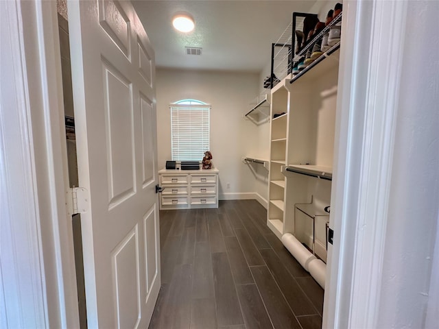 spacious closet featuring visible vents and dark wood-type flooring