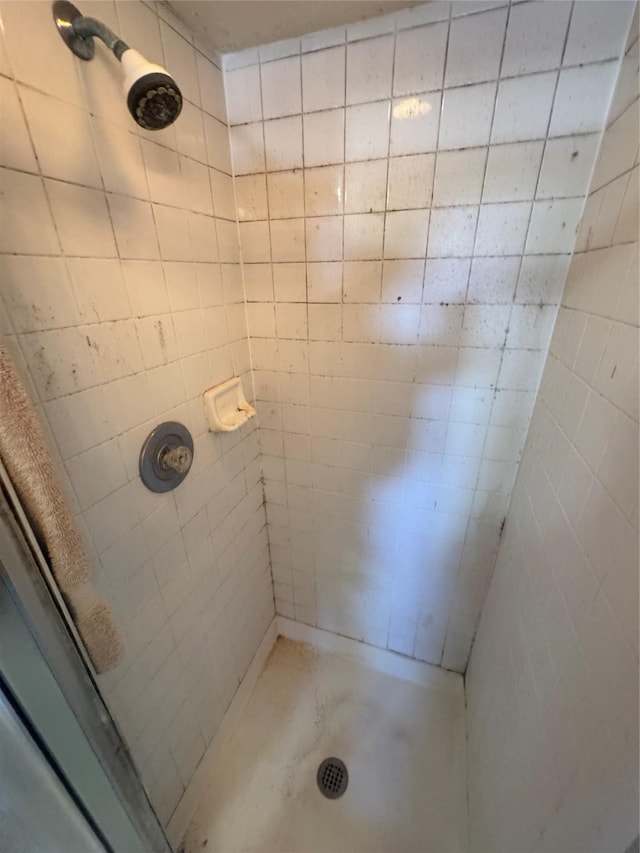 bathroom with a shower stall