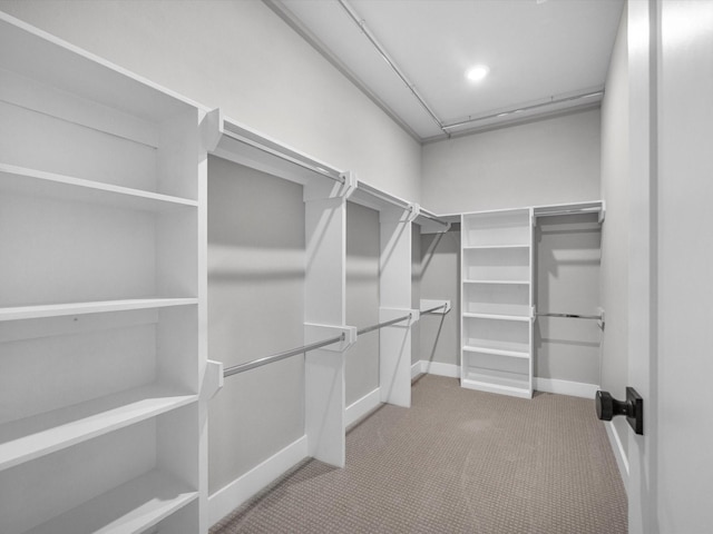 walk in closet with carpet flooring