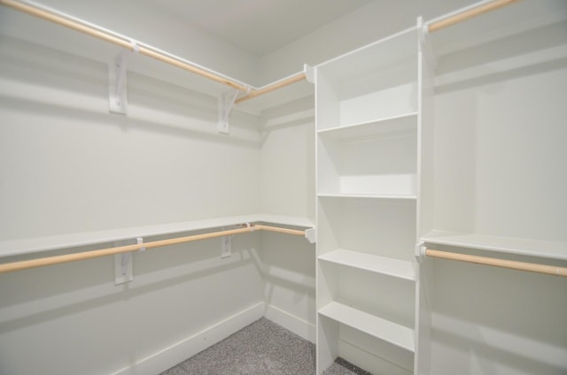 spacious closet with carpet floors