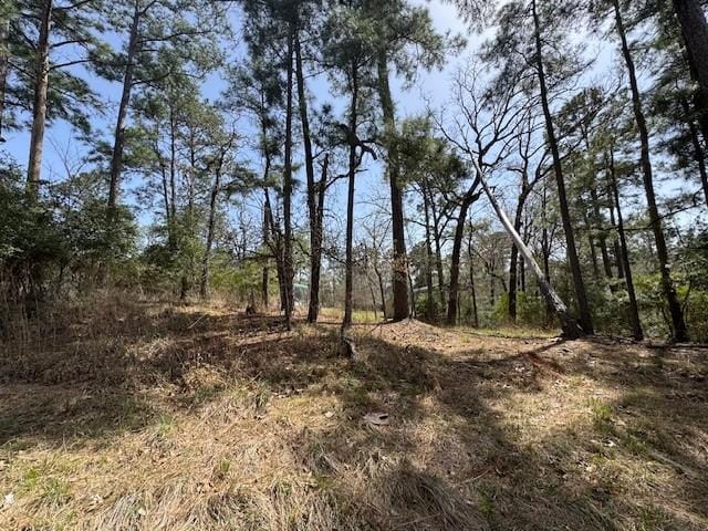 312 Waterview Dr, Trinity, TX 75862