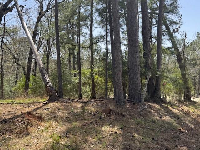 312 Waterview Dr, Trinity, TX 75862