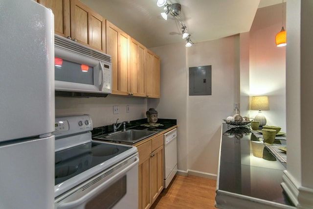 kitchen with baseboards, light wood-type flooring, electric panel, white appliances, and a sink