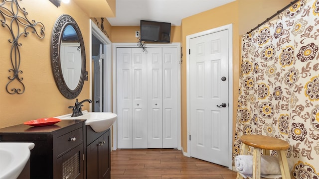 bathroom with a closet, wood finished floors, and a sink