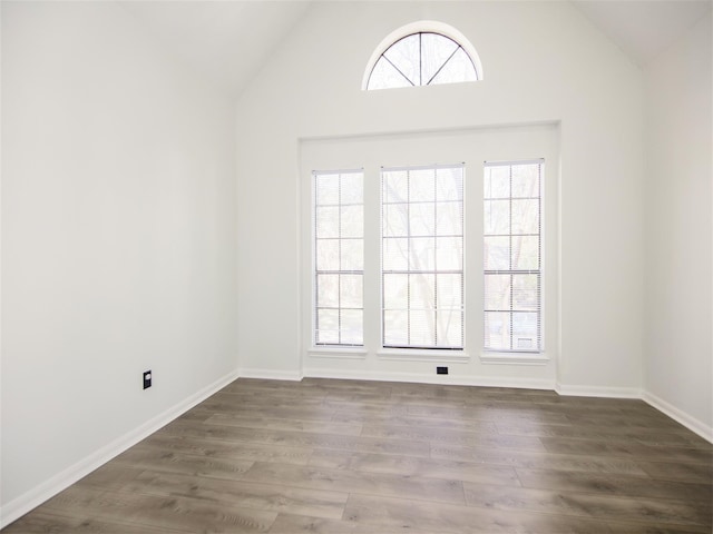 spare room featuring wood finished floors, a healthy amount of sunlight, baseboards, and lofted ceiling