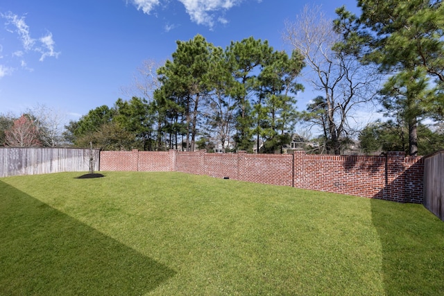 view of yard with a fenced backyard