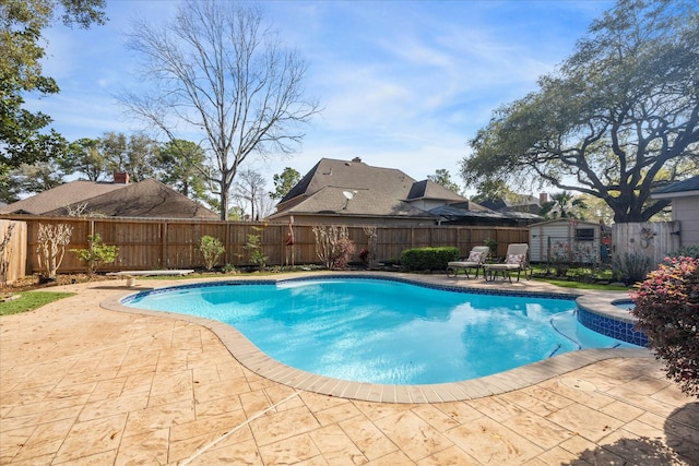 view of swimming pool with a patio area, a fenced backyard, and a diving board