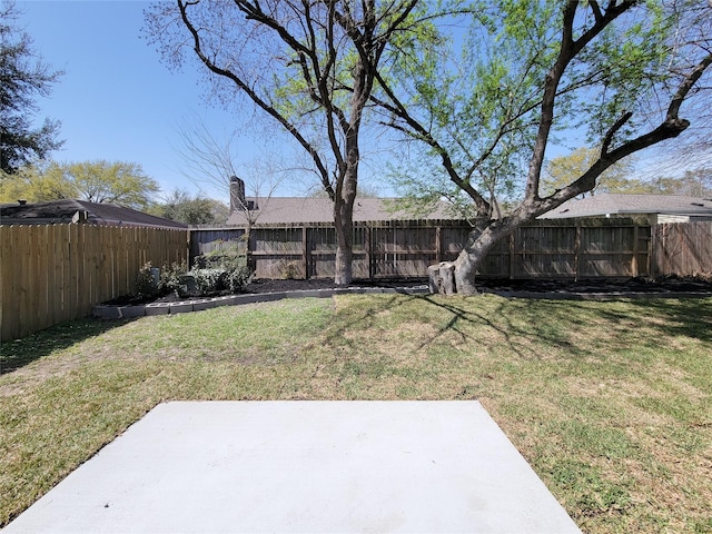 view of yard featuring a fenced backyard and a patio area