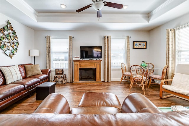 living area with a raised ceiling, wood finished floors, and a wealth of natural light