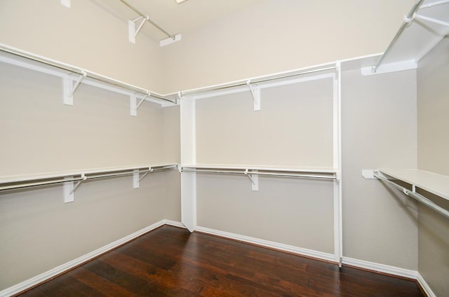 spacious closet featuring wood finished floors