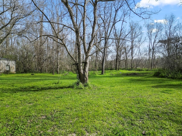 view of yard with an outdoor structure