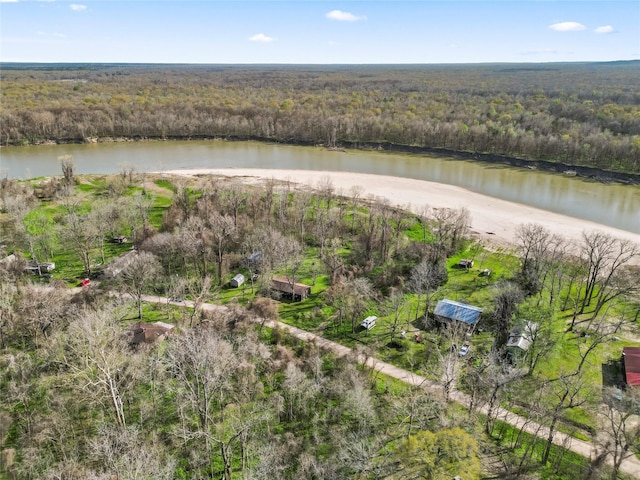 bird's eye view featuring a forest view and a water view