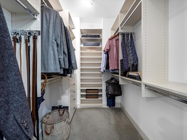 spacious closet featuring carpet flooring