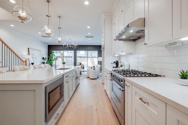 kitchen featuring a sink, stainless steel appliances, open floor plan, under cabinet range hood, and light wood-type flooring