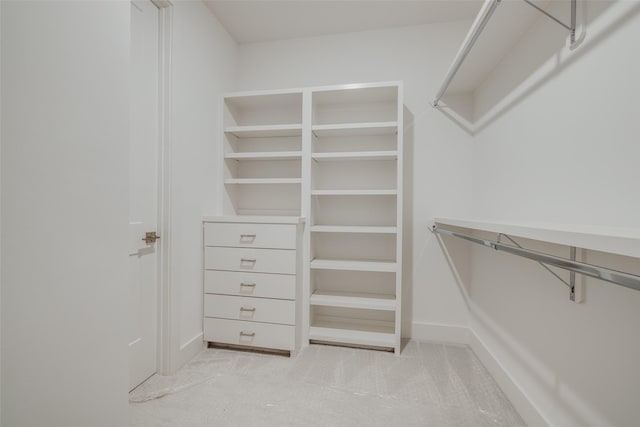 spacious closet with light carpet