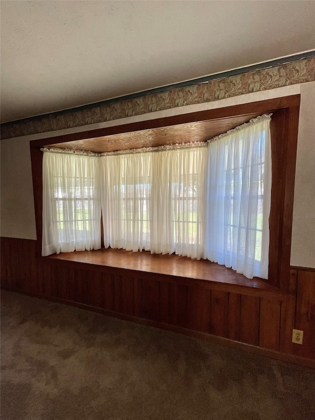 details featuring a wainscoted wall, wood walls, and carpet floors