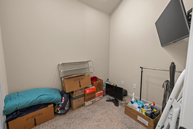 14864 Cetus Ct, Willis, TX 77318 - view of storage area