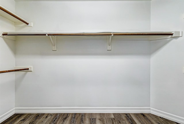 spacious closet with dark wood-style flooring