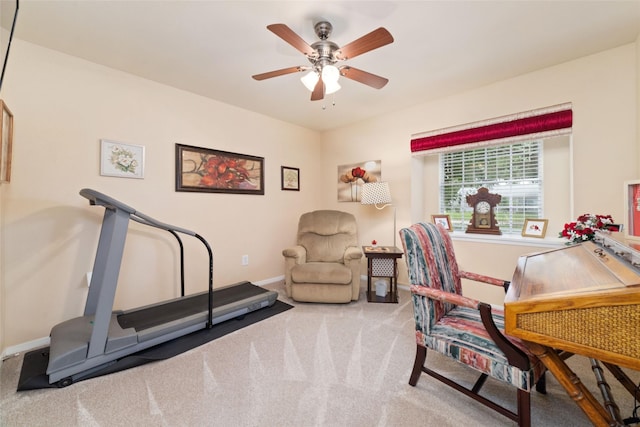 office with a ceiling fan, baseboards, and carpet floors