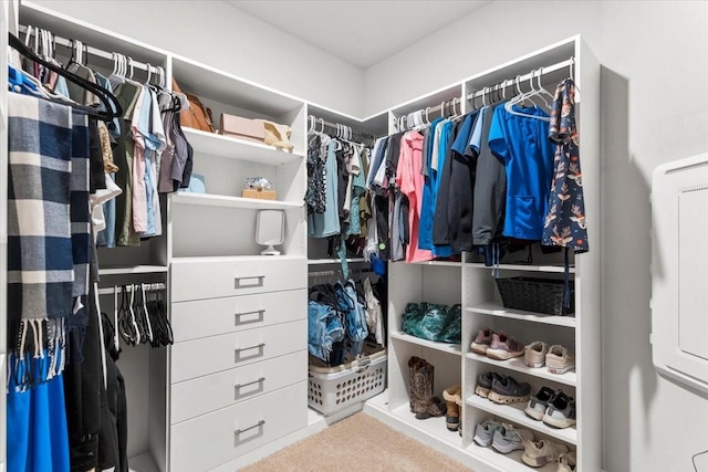 spacious closet featuring carpet