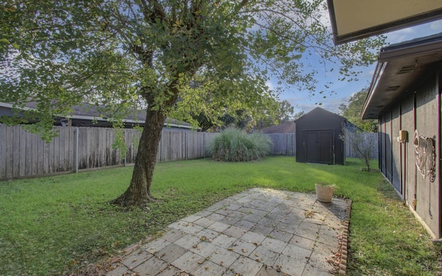 view of yard with a patio area, a fenced backyard, a storage unit, and an outdoor structure