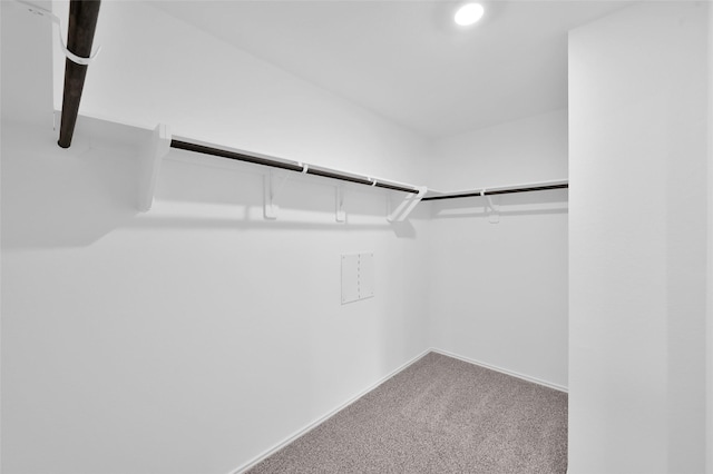 spacious closet featuring carpet floors