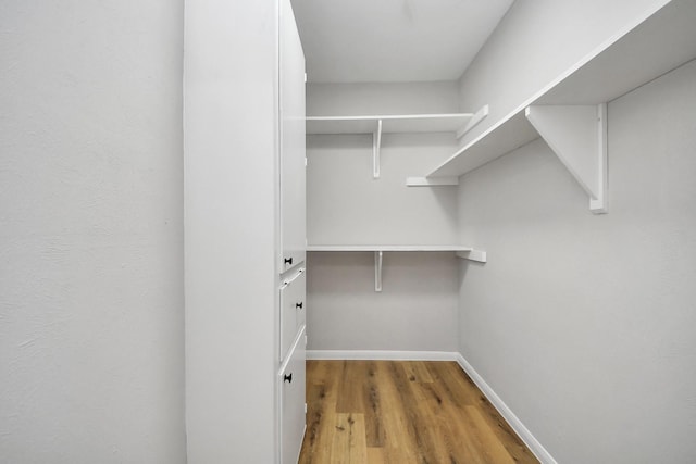 walk in closet featuring wood finished floors