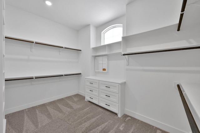 spacious closet with light colored carpet