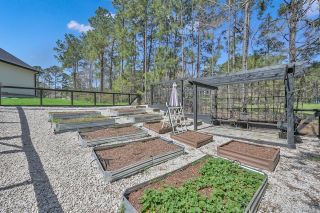 view of yard with a garden