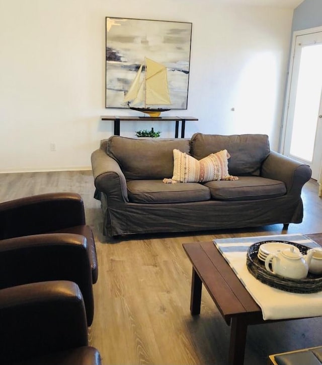 living room with wood finished floors