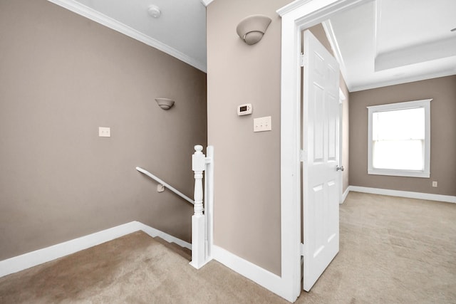 interior space featuring carpet flooring, a raised ceiling, crown molding, and baseboards