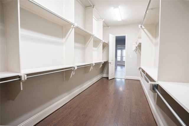 spacious closet with dark wood-style floors