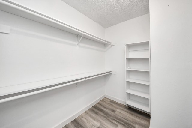 walk in closet with wood finished floors