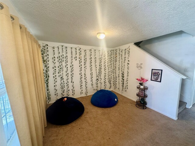 interior space with carpet flooring and a textured ceiling