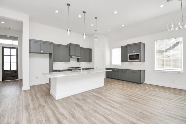 kitchen featuring stainless steel microwave, a healthy amount of sunlight, and light wood-type flooring