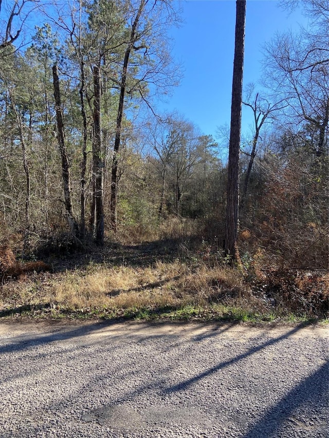 Listing photo 2 for LOT14 Sherwood Dr, Shepherd TX 77371