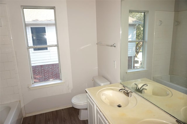 bathroom featuring double vanity, toilet, wood finished floors, and a sink