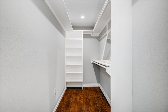 walk in closet with dark wood-type flooring