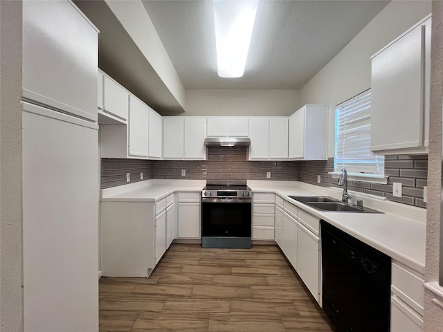 kitchen featuring stainless steel electric range, a sink, under cabinet range hood, dishwasher, and backsplash