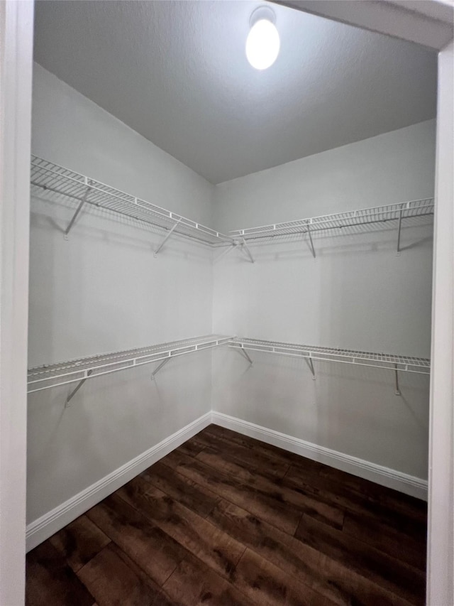 spacious closet featuring dark wood-type flooring