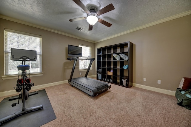 exercise room featuring a wealth of natural light, visible vents, carpet, and crown molding