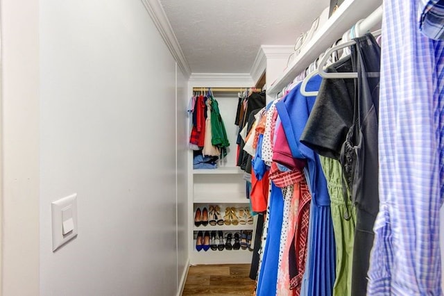 spacious closet with wood finished floors