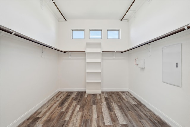 walk in closet featuring wood finished floors