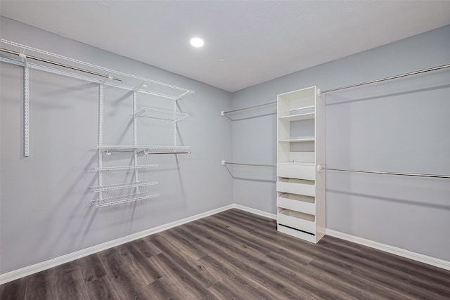 spacious closet featuring wood finished floors