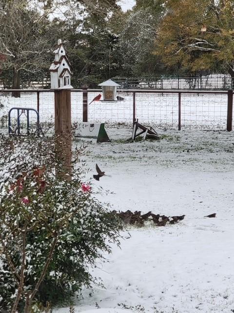 view of snowy yard